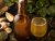 Kombucha / craft