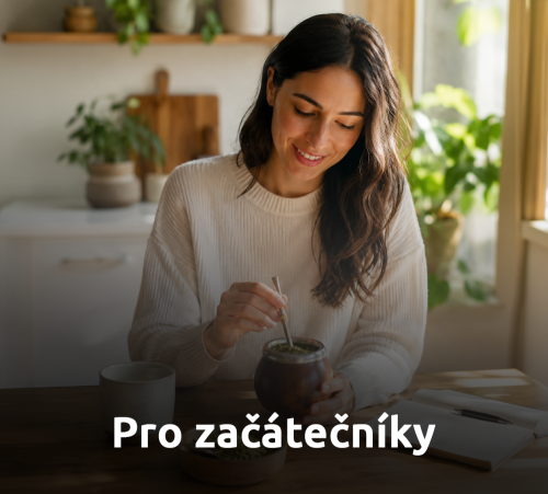 Začínáme s yerba maté