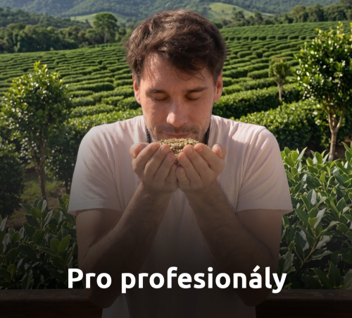 Yerba maté pro zkušené